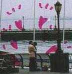 ���`�����i��