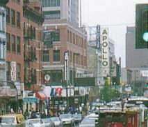 �A�|���V�A�^�[