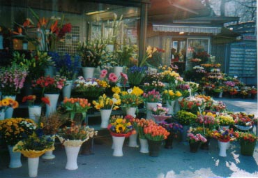 ���p���p�ّO�̉ԉ�