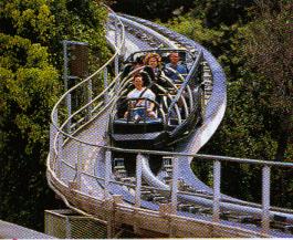 ���P�b�g�E���b�h�B�炪�ɂ��悧�`