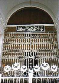 ���Ă������